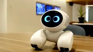 5 Cool Robots You Can Buy On Amazon (You Didn't Know They Existed)