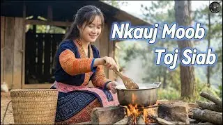 Nkauj Moob Toj Siab ( Xa Suab Nrhiav Leej Tub Moob Los Hlub ) Music new 2026
