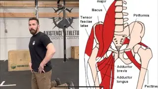 L-Sit Progressions (knees over toes guy method)