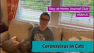 Stay-at-Home Journal Club #6 - Coronavirus in Cats | #SAHJC