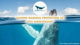 Marine Mammal Protection Act (MMPA) 50th Anniversary Reel