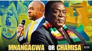LIVE Coverage // Zimbabwe 2023 Elections // Election Room // #ElectionsZW