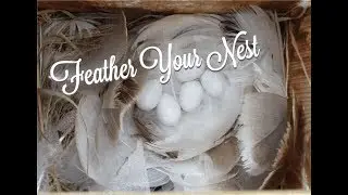 Feather Your Nest - Part III