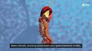 Dallas, TX Colon Screening Options | Colonoscopy vs. Home Stool Tests