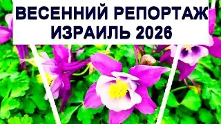 Ягур/Посуда/Цветы/Кто знает что это?/Еда в супере