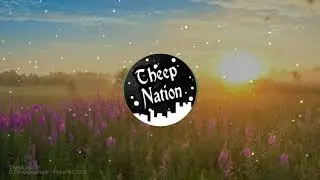 DJ inappropriate - Fiskeriet - Theep Nation