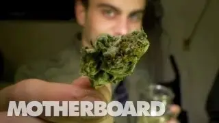 The Future of Weed: HIGH COUNTRY