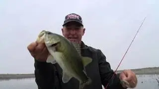 Strike King Rage Swimmer