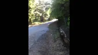 4x4 gokart 900 Ducati motor!!