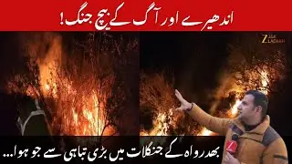 Bhaderwah Forest Fire : Bhaderwah Forest Fire Averted as Brave Forest Staff Risk Lives Overnight
