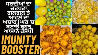 ਆਵਲਾ ਗਲਗਲ ਦਾ ਅਚਾਰ | Amla Galgal Chatpata Achar | Quick & Tasty Recipe / Immunity Booster
