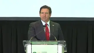Gov. DeSantis doubles down on crime, immigration stance at Florida Sheriffs&rsquo; Association conference
