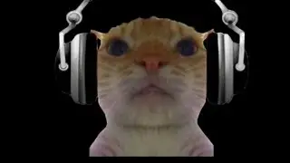 family trip ( GOOFY AHH CAT ADVENTURE MEME)