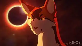 Warrior Cats Darkside