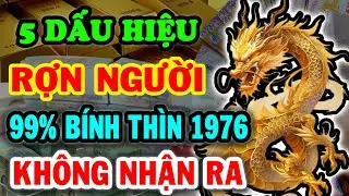 5 Dấu Hiệu Rợn Người Bính Thìn 1976 Không Xem Là Hối Hận 99% Bính Thìn Không Nhận Ra