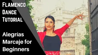 Flamenco Dance Tutorial for Beginners - Basic Marcaje Lower & Upper Body