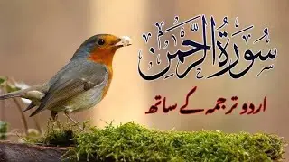 Surah Rahman Urdu Tarjuma K Sath I Qari Al Shaikh Abdul Basit Abdul Samad I RZ Daily Quran