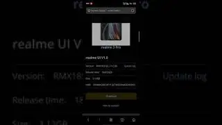 Realme 3Pro C.06 Update manually