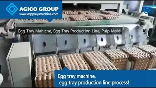 Egg tray machine, egg tray production line process!