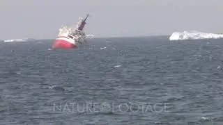 Ms Explorer Sinking, Lies On Side Near Iceberg