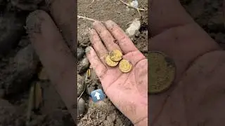 Incredible Gold Coins Found Buried at the Beach!