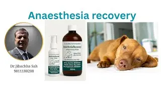 Anaesthesia in dog & Cat