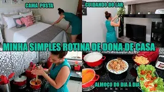 CUIDEI DO LAR, ALMOÇO FRESQUINHO DO DIA A DIA, AMANDO MEU NOVO QUINTAL E MAIS...