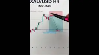 The Hidden Signals in the Gold Market insights forex trading analysis #gold #trading #forex