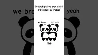 Dropshipping Explained by Panda
