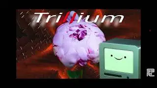 Green trillium tv song (gamer Simon endless nightmare 2)