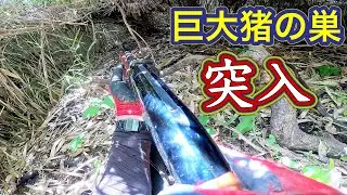 巨大イノシシの巣の中に突撃した猟犬見習いアスカを地べた這いずり回って追いかける