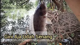 Mancing liar di danau golf Jakarta 🇲🇨 || Mancing mujair