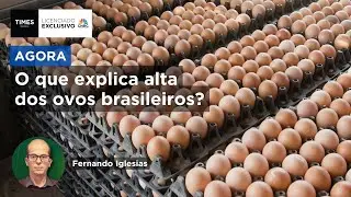 Exportação de ovos cresce 21% no Brasil em janeiro de 2025; Fernando Iglesias comenta