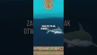 7 SZYBKICH PORAD DO RAFT