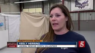 150 Animals Rescued From Atwood Property