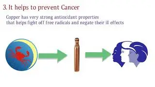 Benefits of Drinking Water - Copper Vessels