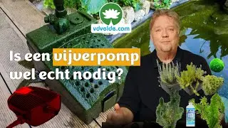 Vijverpomp kopen? Zuurstofplanten zuiveren beter dan een filterpomp