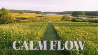 Peace & Beauty &ndash; Calm Flow Music for Focus, Inner Balance & Deep Work