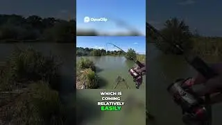 Невероятное действие!