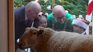 Live Animal Crib 2025 - Dublin Mansion House