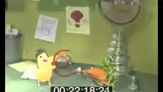 Que funciona siempre