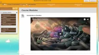 ACC - Course Navigation