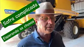 ✅ MATO GROSSO DO SUL, NOSSAS ÁREAS 27 DIAS DA ÚLTIMA CHUVA CONSIDERÁVEL!💥💥