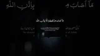 best recite in the world#4000#viralshorts#TLP SUPPORT