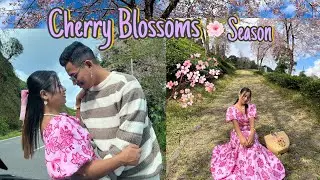 CHERRY BLOSSOMS 🌸 AT TEMI TEA GARDEN || SOUTH SIKKIM 🇮🇳 ||