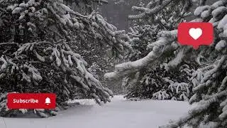 Sleep Easy: Fire Crackling and Relaxing Music. Музыка для сна против бессонницы. #sleep #sleepmusic