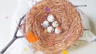 How to make birds nest |  school project|easy art and craft