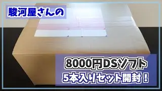 【福袋開封】駿河屋さんの8000円DSソフト5本入りセットを開封してみた！【DSソフト】