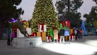 TV Package - Dodgers Stadium Holiday Festival