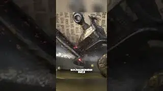 Это самая необычная книга @zackdfilms